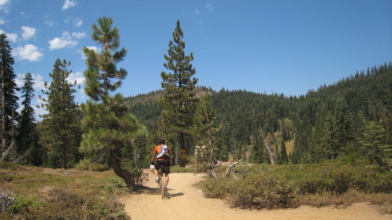 Butcher Ranch Trail : Bientôt la fin du "doubletrack"