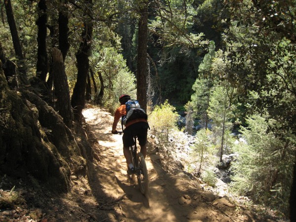 Downieville Downhill : Du single ludique en sous-bois