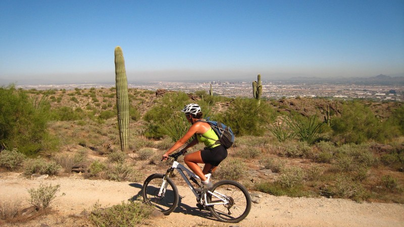 National Trail : Parcours panoramique au milieu des cactus avec vue sur Phoenix