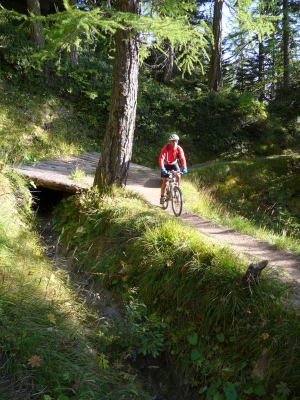 Descente sur Rosswald : Bisse de Rosswald