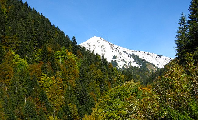 Parc du Mouton : Chaurionde