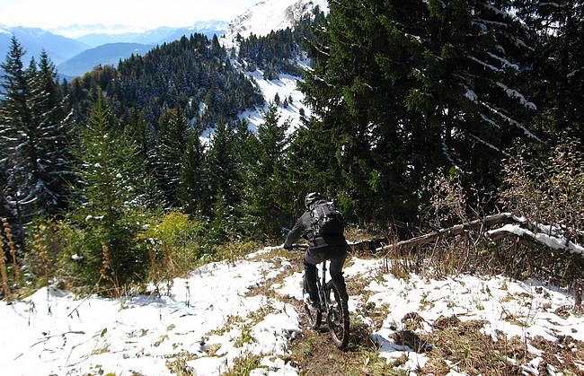 Parc du Mouton : Le bas de l'arête S: moins casse-gueule qu'à pied.