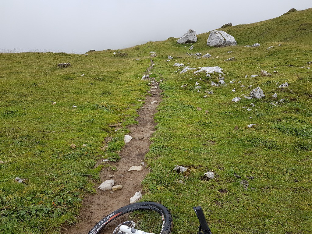 Descente du pâturage.