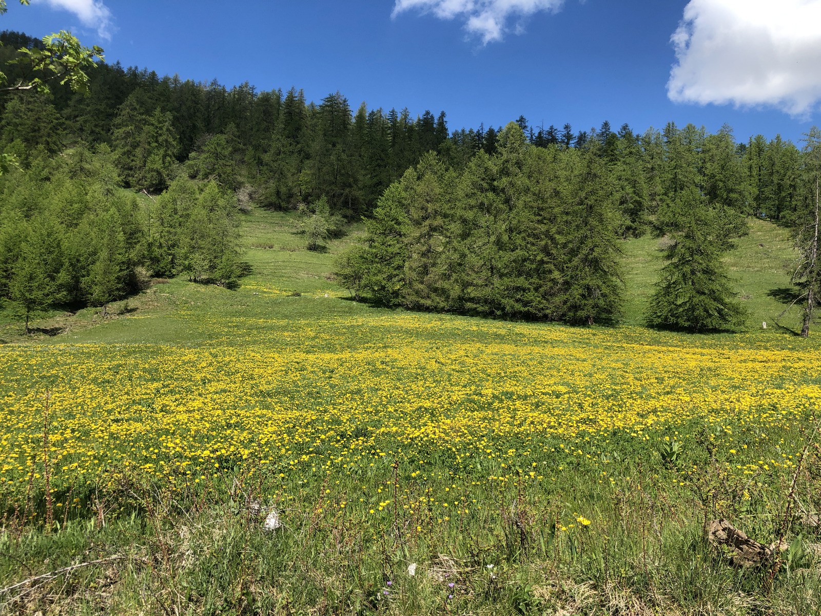 #3 C C'est le printemps