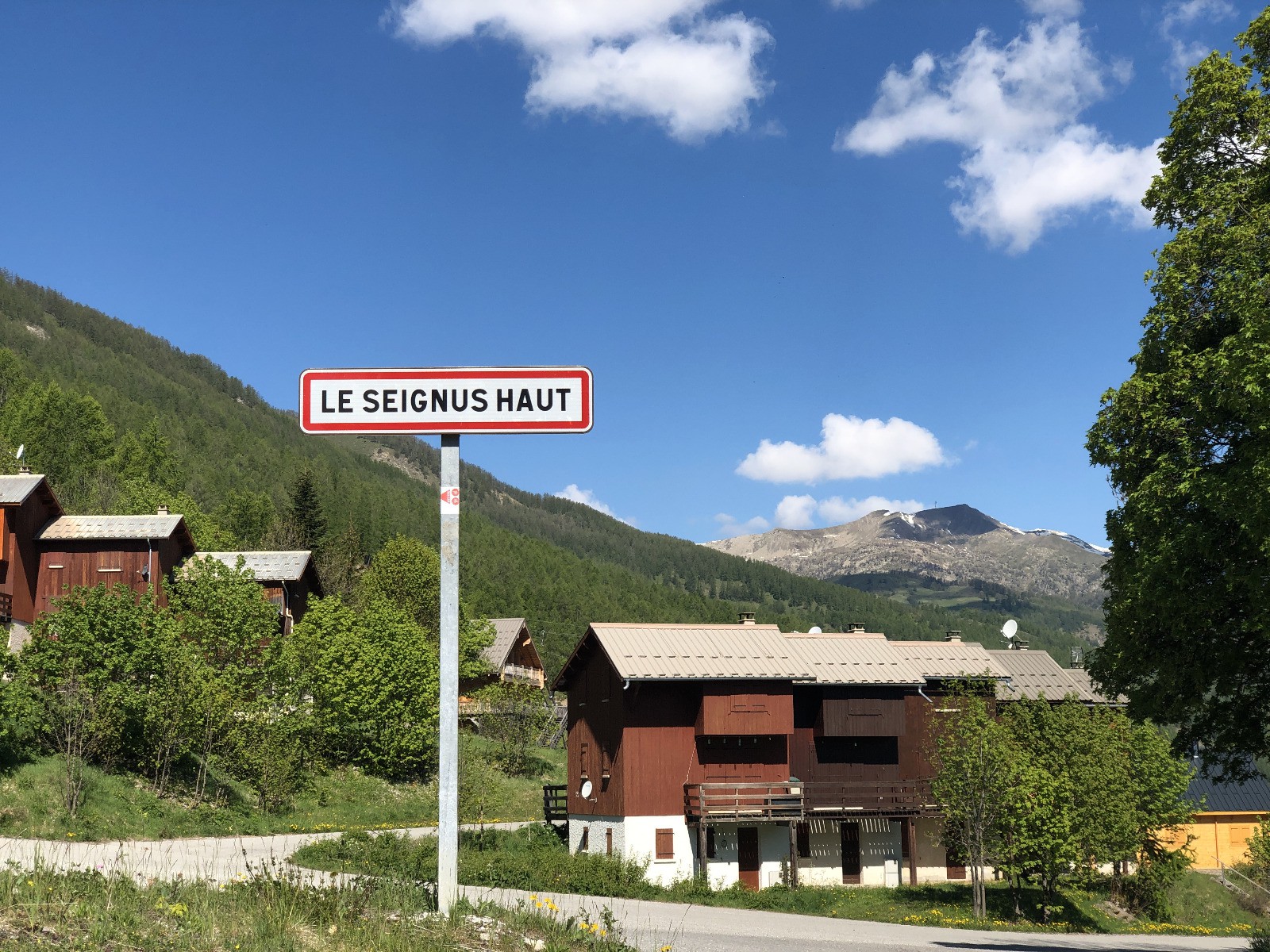 #1 Seignus Haut Seignus Haut