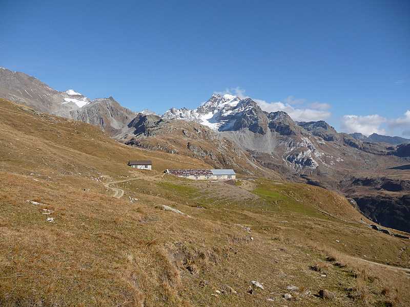 Ofenhorn : Ofenhorn (Punta d'Arbola) depuis l'alpage de Wyssi
