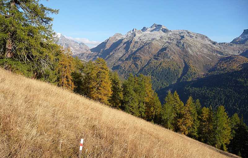 Schinhorn : Gross Schinhorn