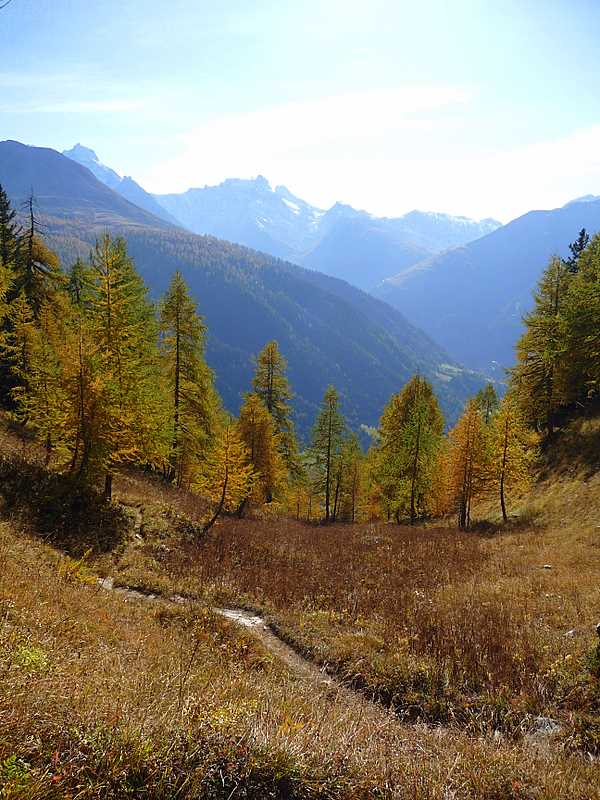Gandhorn : Descente sur Binn
