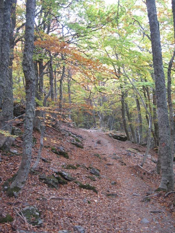 #5 sentier du San Petrone : Un vrai plaisir. sentier du San Petrone : Un vrai plaisir.