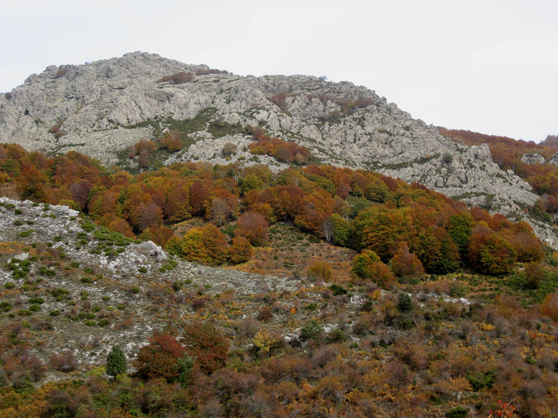 #14 paysage d paysage d'automne : sous le monte Muffraje