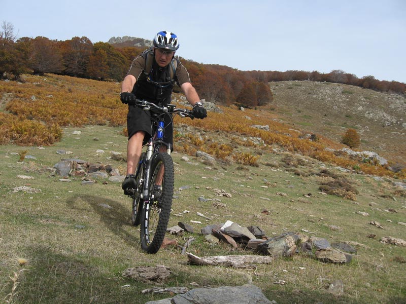 #11 Vers Bocca Favalte : Ride au milieu des fougères. Vers Bocca Favalte : Ride au milieu des fougères.