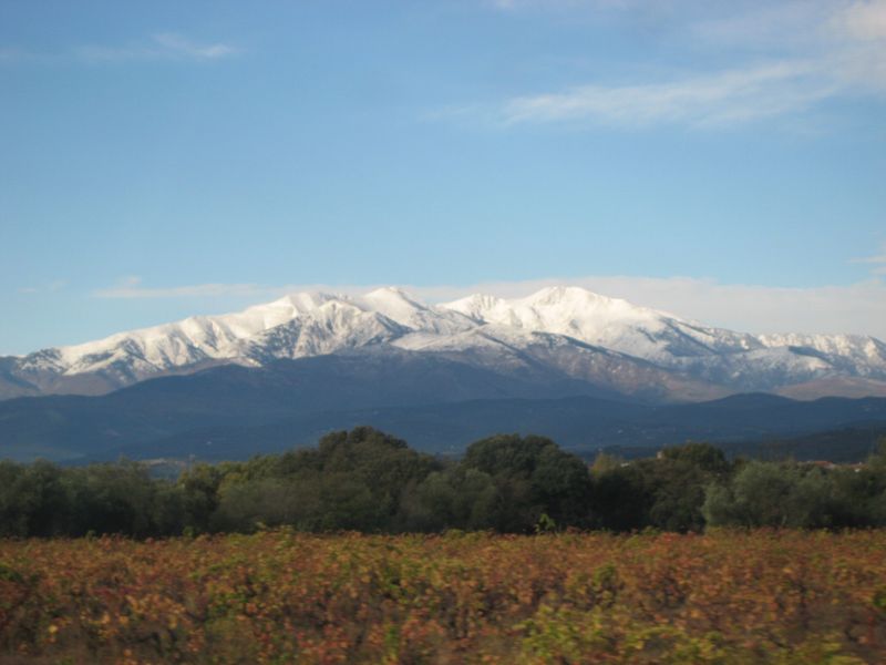 Le Canigou : Bien blanchi aujourd'hui, mais bien venté aussi.