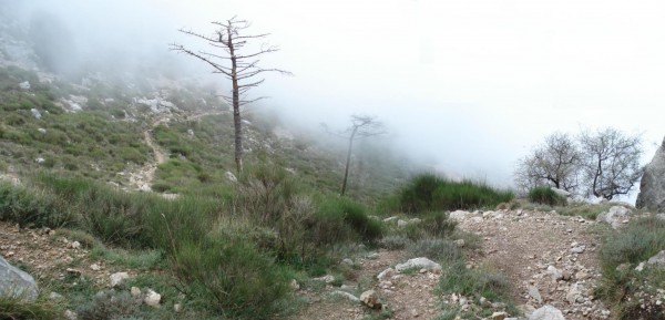 #28 Départ sous le berceau : Petit panorama de la descente du berceau. Le cassant se termine pour faire place à la gravette. Départ sous le berceau : Petit panorama de la descente du berceau. Le cassant se termine pour faire place à la gravette.