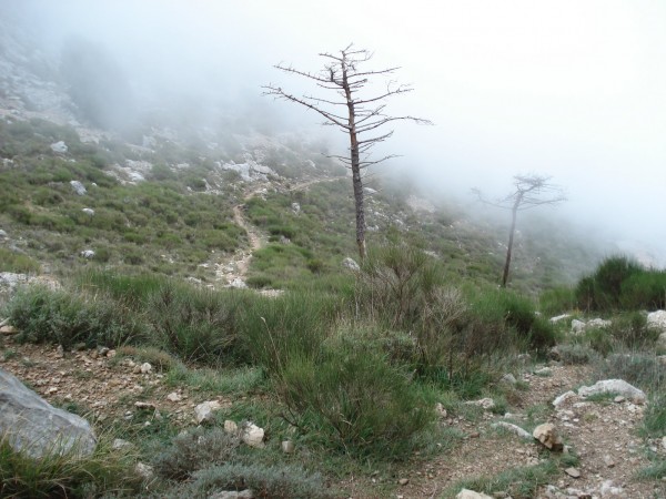 #16 Col du Berceau : La gravette va commencer Col du Berceau : La gravette va commencer