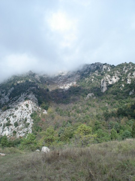 #20 Berceau dans la brume : Le sentier vient de là haut Berceau dans la brume : Le sentier vient de là haut