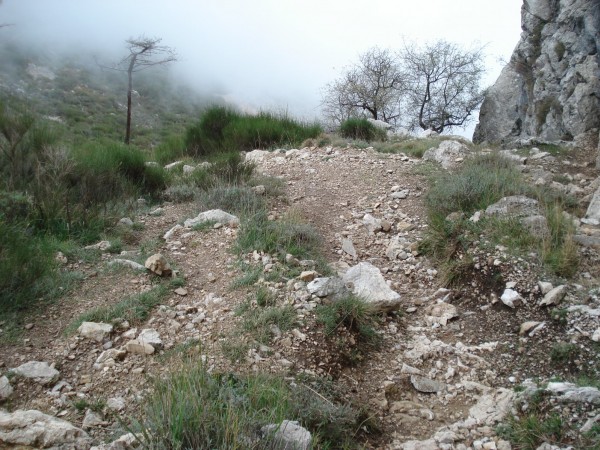 #15 Col du Berceau : Cassant, mais après les premières dalles expos, tout est passé sur le vélo ! Col du Berceau : Cassant, mais après les premières dalles expos, tout est passé sur le vélo !