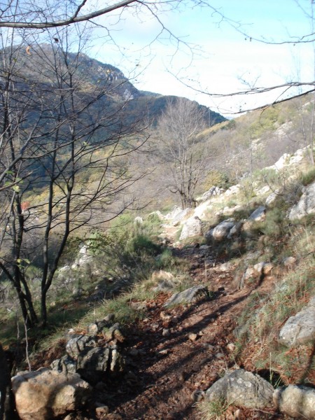 #6 Direction Col du Razet : J Direction Col du Razet : J'avais lu que cette portion de GR était pourrie (inroulable en VTT) : J'ai très bien fait de me faire ma propre opinion = super roulant !