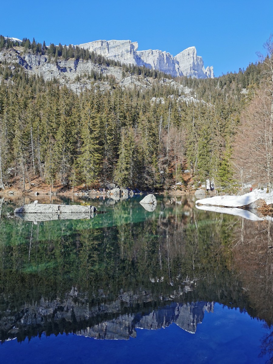 Quiétude au lac vert et son reflet