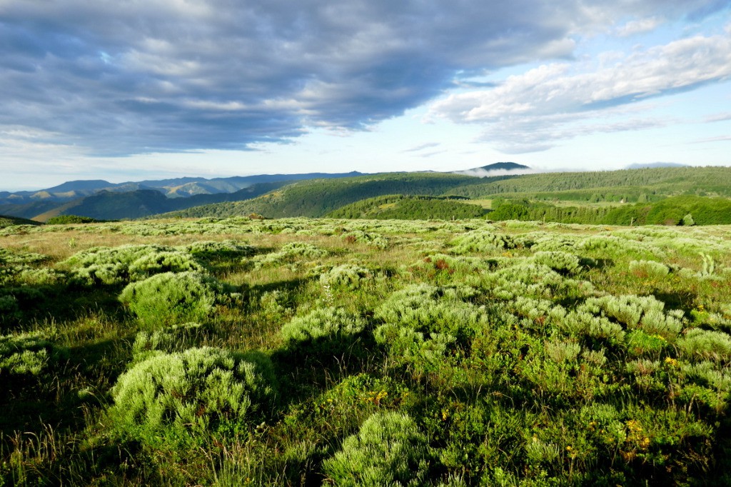 #14 Petit matin sur le Haut Plateau Ardéchois après Sagnes et Goudoulet Petit matin sur le Haut Plateau Ardéchois après Sagnes et Goudoulet