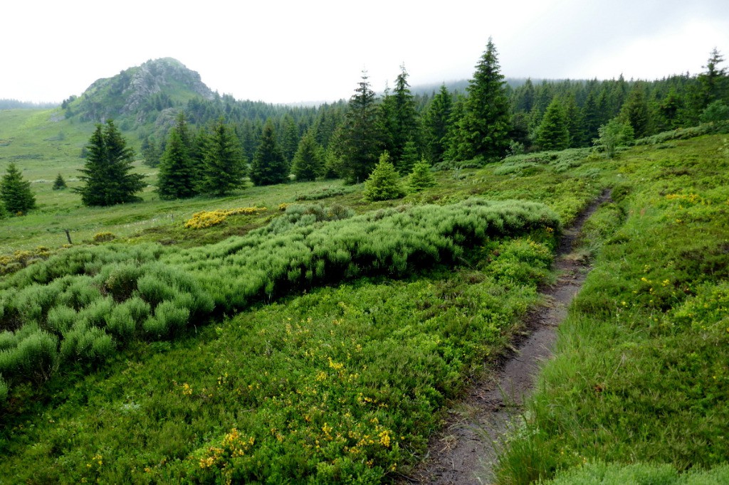 #6 Montée vers la Croix de Pecata Montée vers la Croix de Pecata