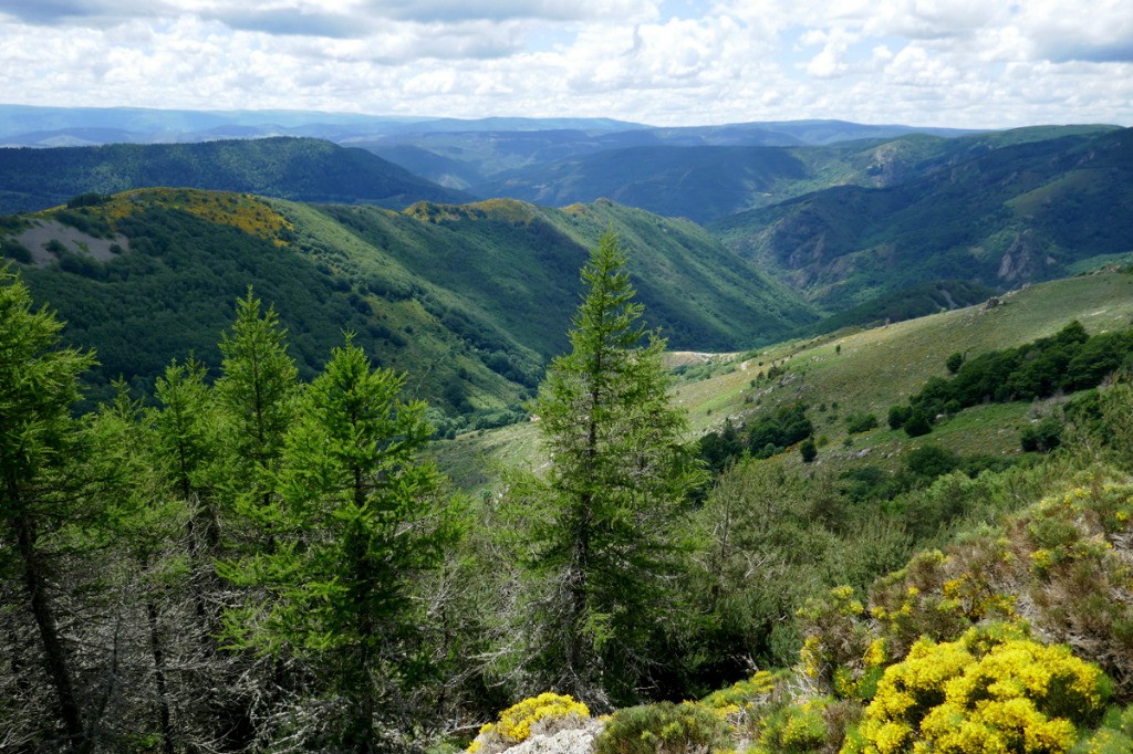 #25 L L'arrivée au dessus de Loubaresse