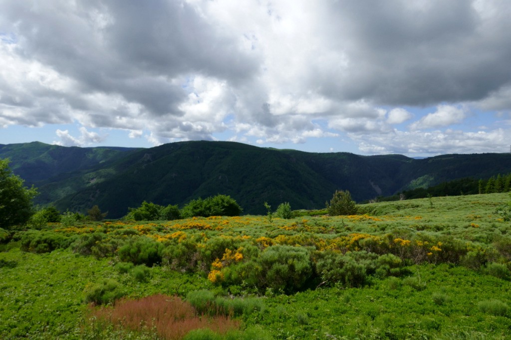 #21 Vers le col de la Chavade Vers le col de la Chavade