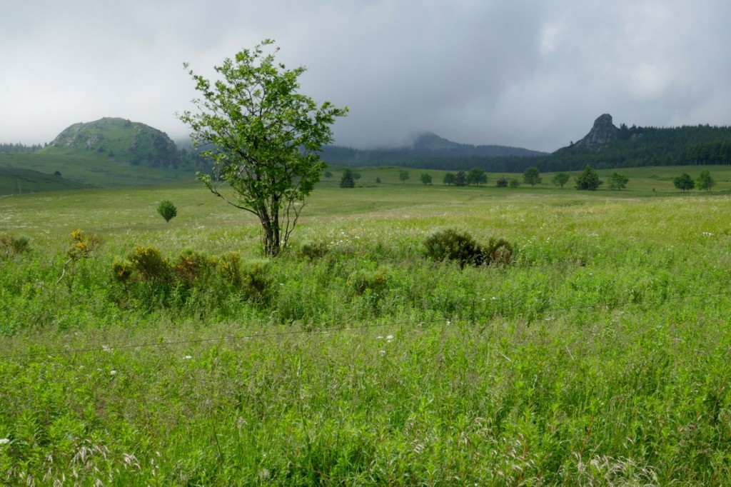 #1 Au dessus de Chaudeyrolles vers le Mezenc Au dessus de Chaudeyrolles vers le Mezenc