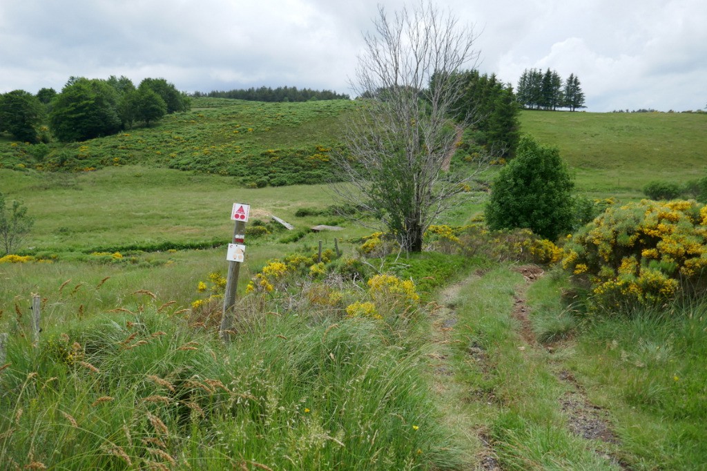 #12 L L'arrivée à Sagnes et Gouloulet