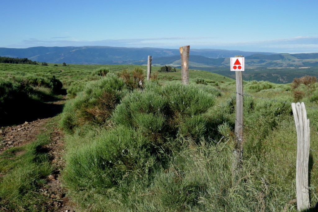 #34 Le Mont Lozere au dessus de Montselgue Le Mont Lozere au dessus de Montselgue