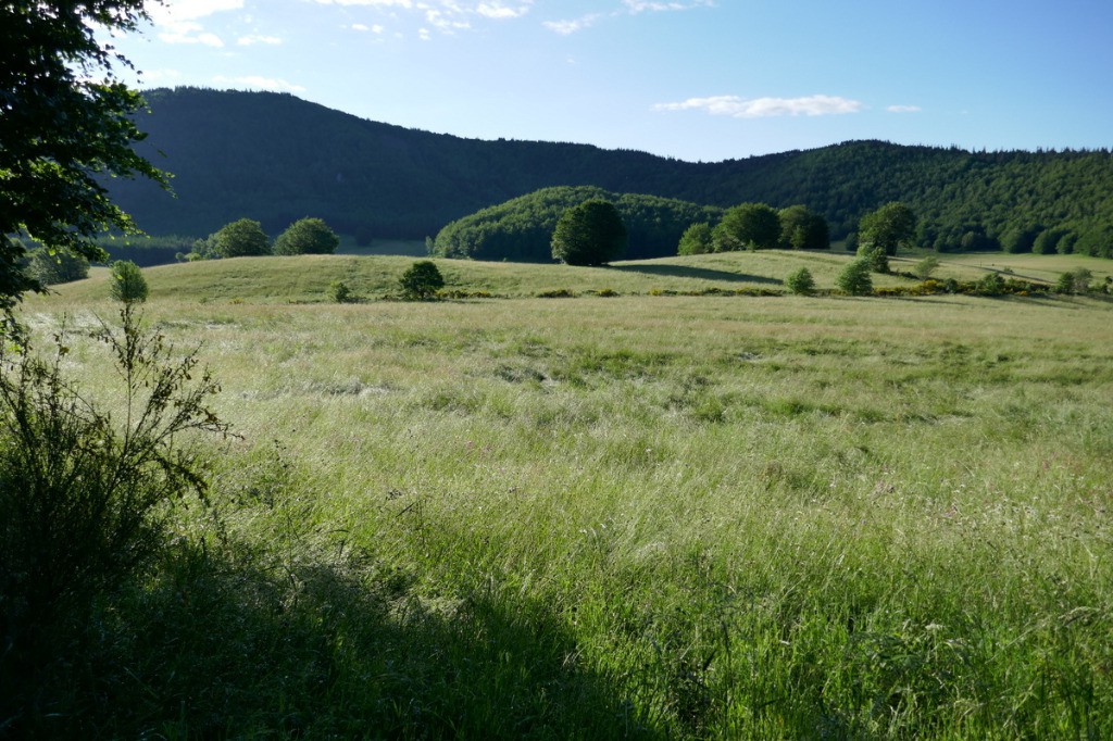 #17 Dans le Maar du Suc de Pal Dans le Maar du Suc de Pal