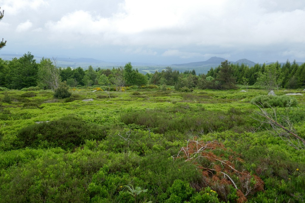 #10 Entre Mézenc et Gerbier de Jonc Entre Mézenc et Gerbier de Jonc