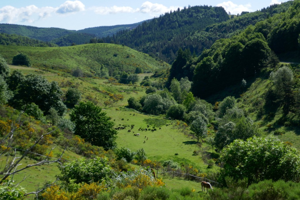 #19 L L'arrivée à Marzan l'Abbaye