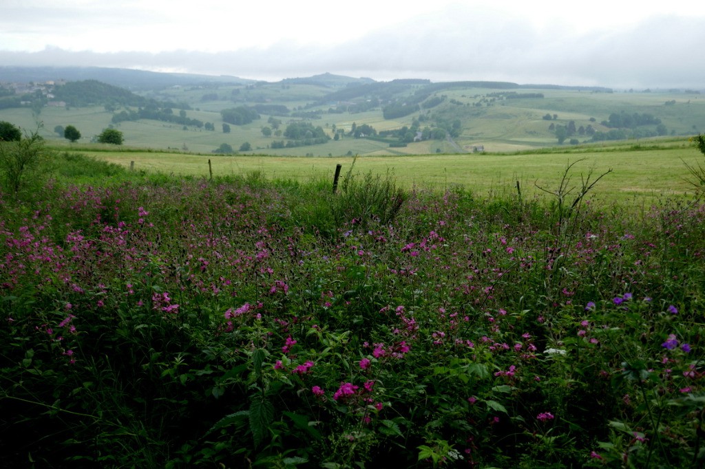 #4 L L'arrivée à Fay sur Lignon