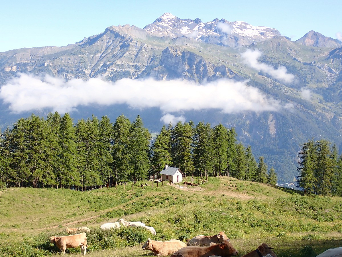 #1 Montée au Cuchon, belle vue sur le Vieux Chaillol Montée au Cuchon, belle vue sur le Vieux Chaillol