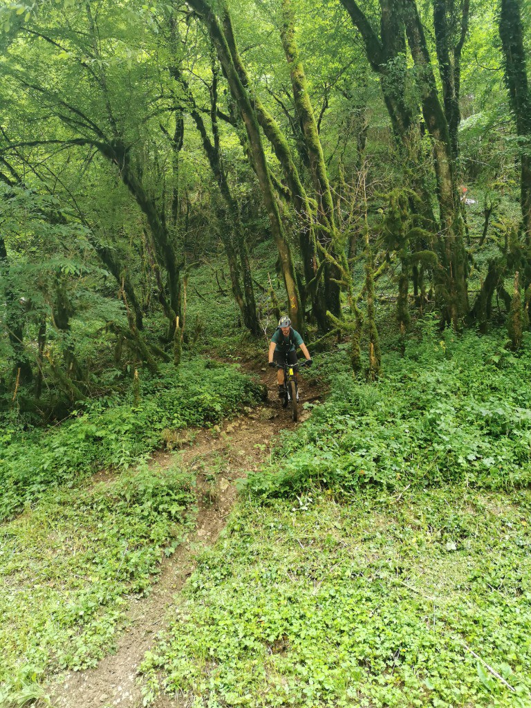 #4