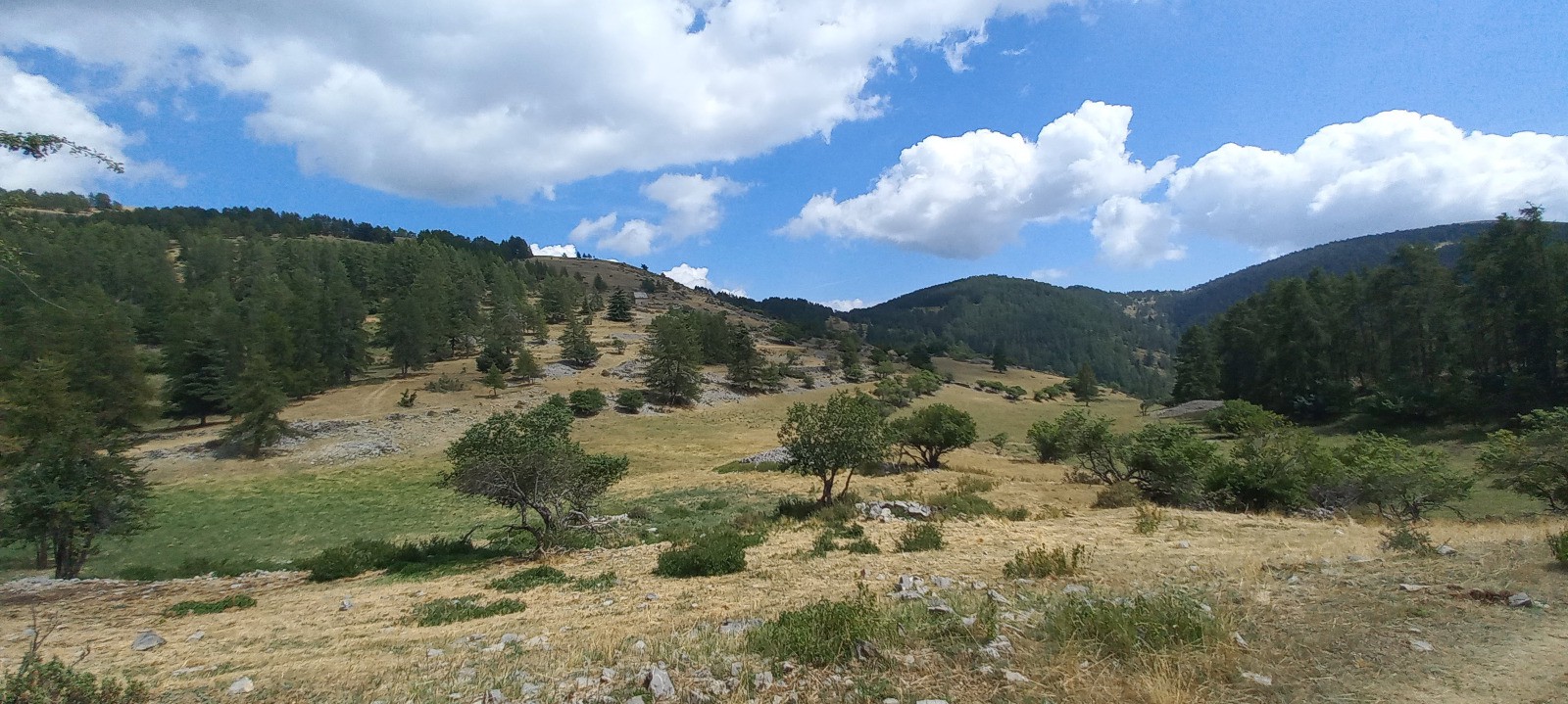 #8 Plateau de Liberture Plateau de Liberture
