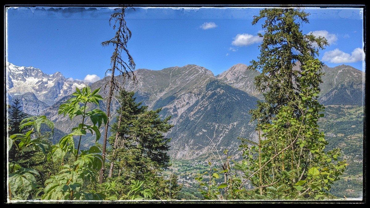 Testa di Liconi
