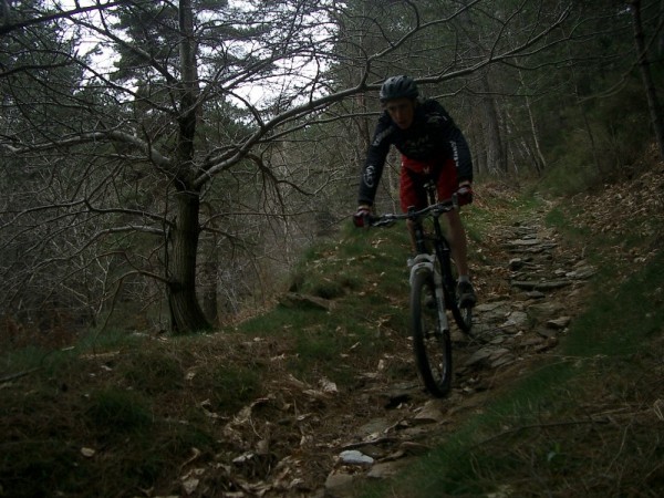 Sentier en direction de Cessenades