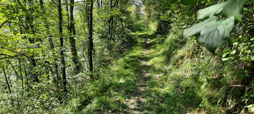 #2 Chemin en lacets Chemin en lacets