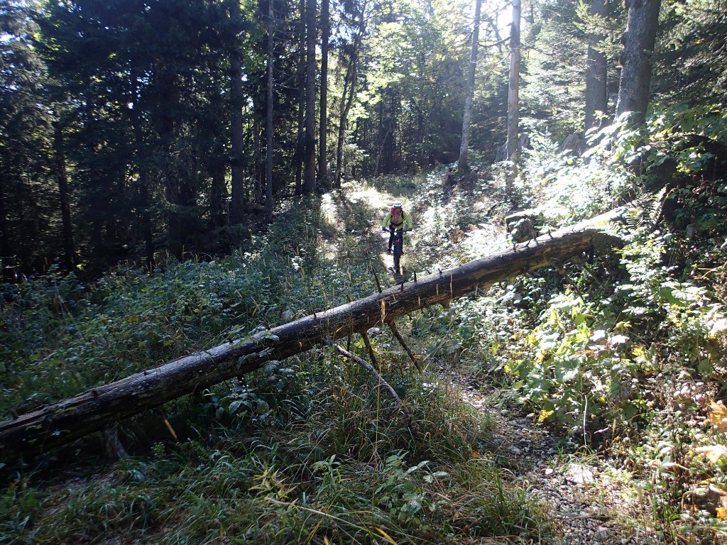 Un peu de jardinage ça réveille !