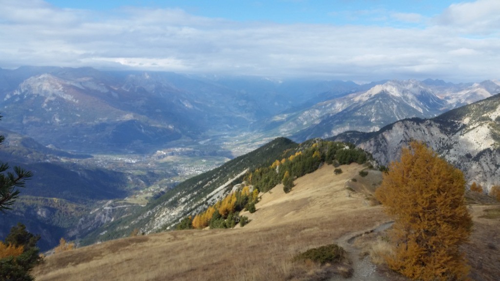 #7 Panoramique avant de plonger sur la Scie Panoramique avant de plonger sur la Scie