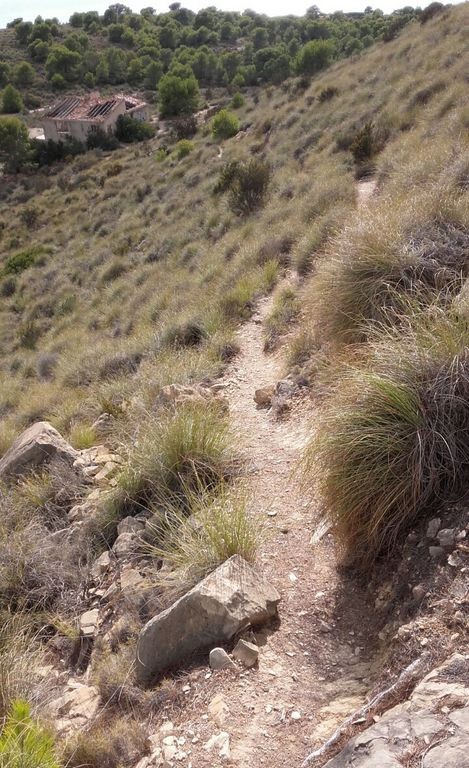 #6 Sentier du sommet du Castillo en AR Sentier du sommet du Castillo en AR