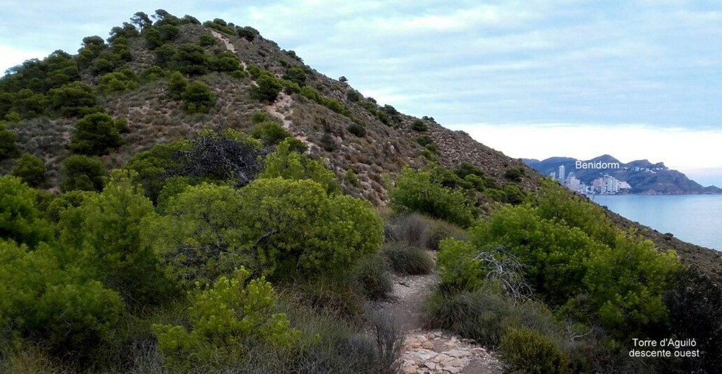 #8 Descente W de la Torre d Descente W de la Torre d'Aguiló T3