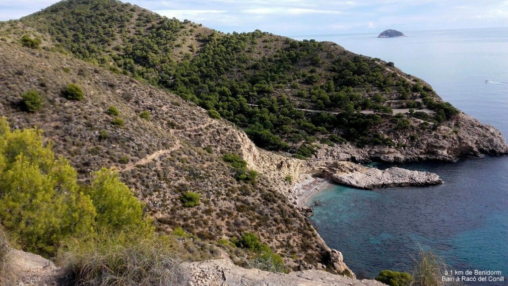 #4 Vue crête d Vue crête d'Aguiló descendue