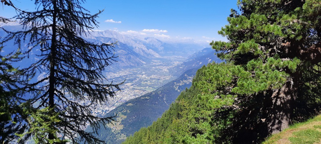 #3 Vallée du Rhône Vallée du Rhône