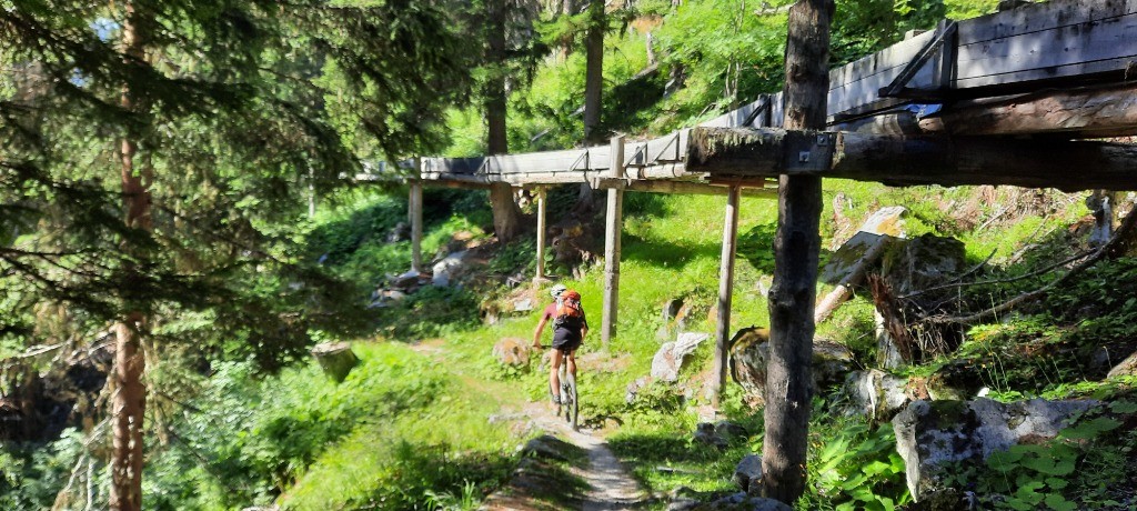 #22 Bisse Saxon Bisse Saxon