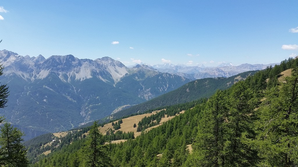 #17 toujours les Ecrins dans le rétro toujours les Ecrins dans le rétro
