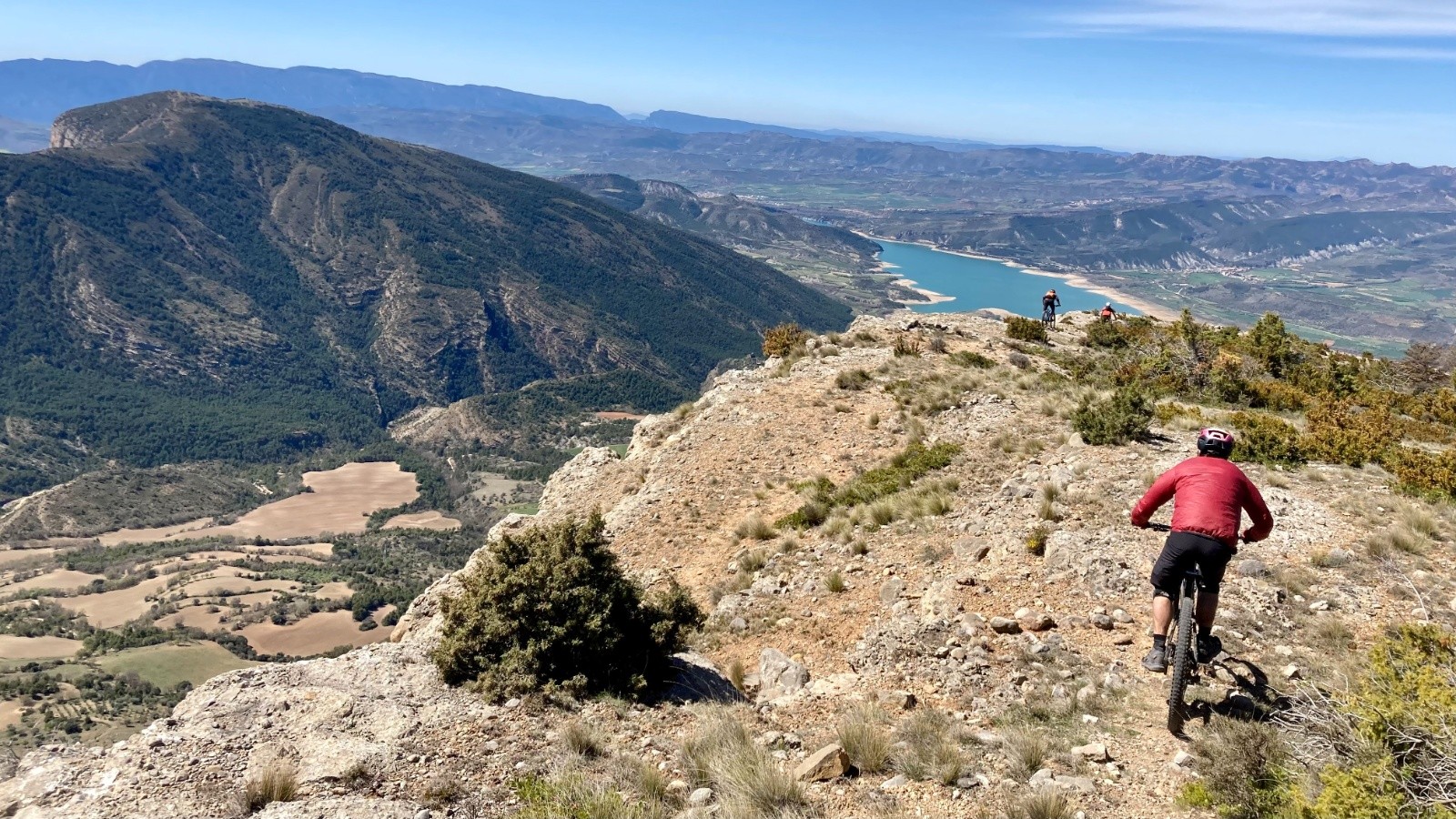 #22 Rocalta Rocalta