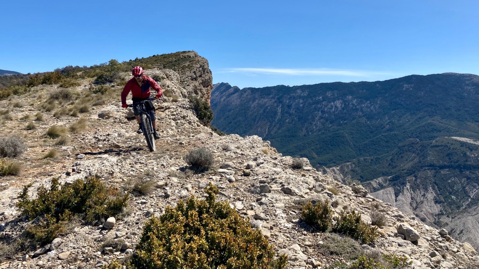 #21 Rocalta Rocalta