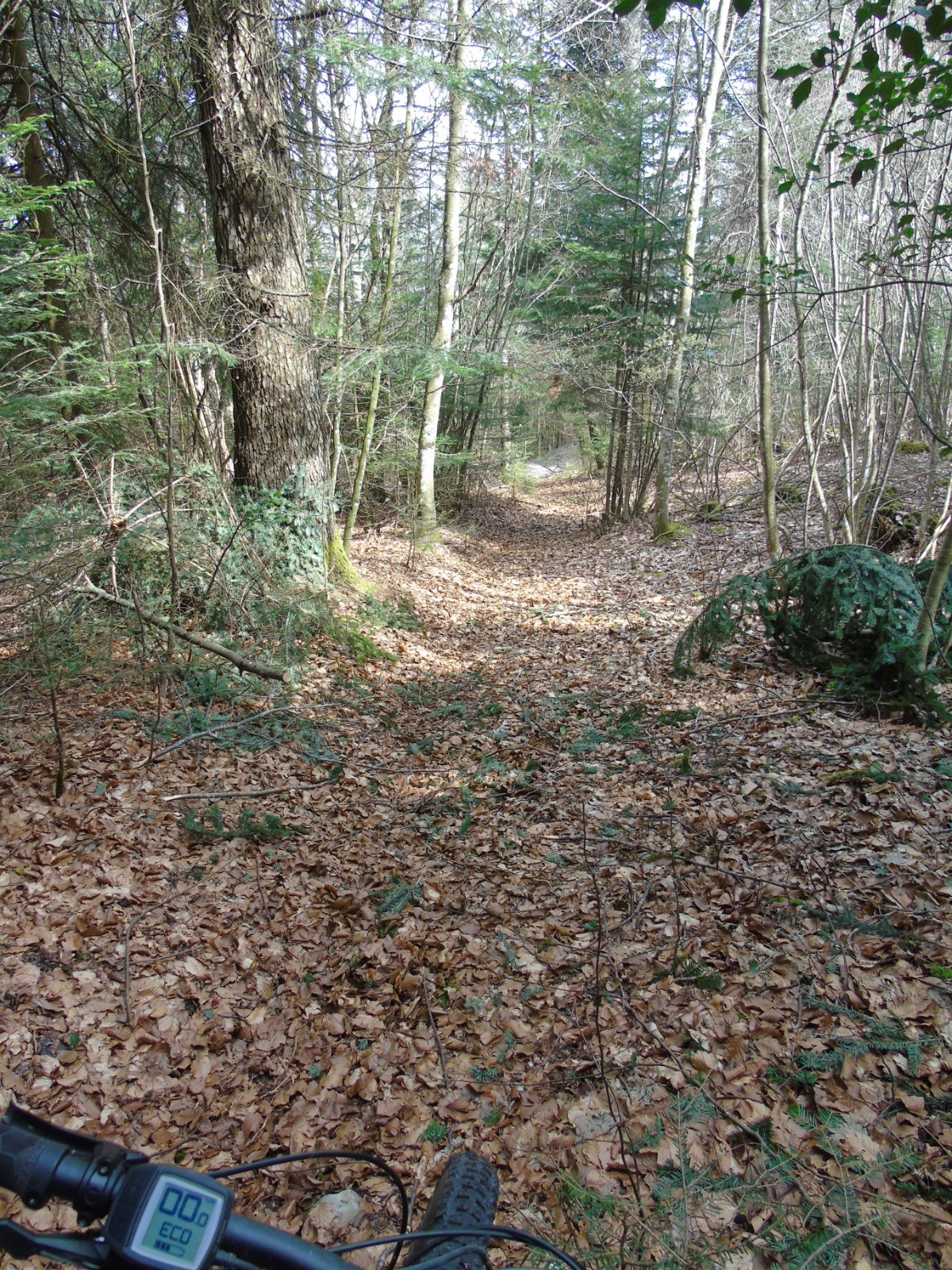 #15 Sentier Sentier